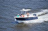 Resize of DSC_0766.JPG